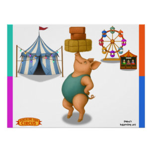 Petra's balancing act poster