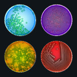 Petri Dish Coaster Set<br><div class="desc">Set of 4 Coasters designed like 4 Petri Dishes</div>