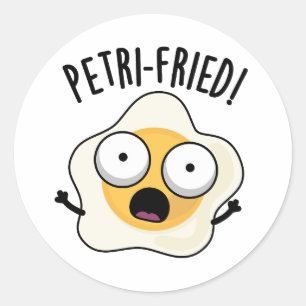 Petri-fried Funny Fried Egg Pun Classic Round Sticker