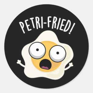 Petri-fried Funny Fried Egg Pun Dark BG Classic Round Sticker
