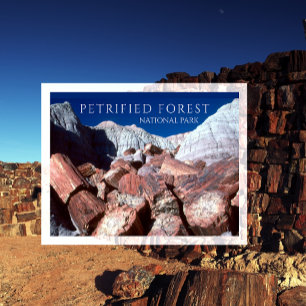 Petriefied Logs, Petrified Forest NP, Arizona Postcard