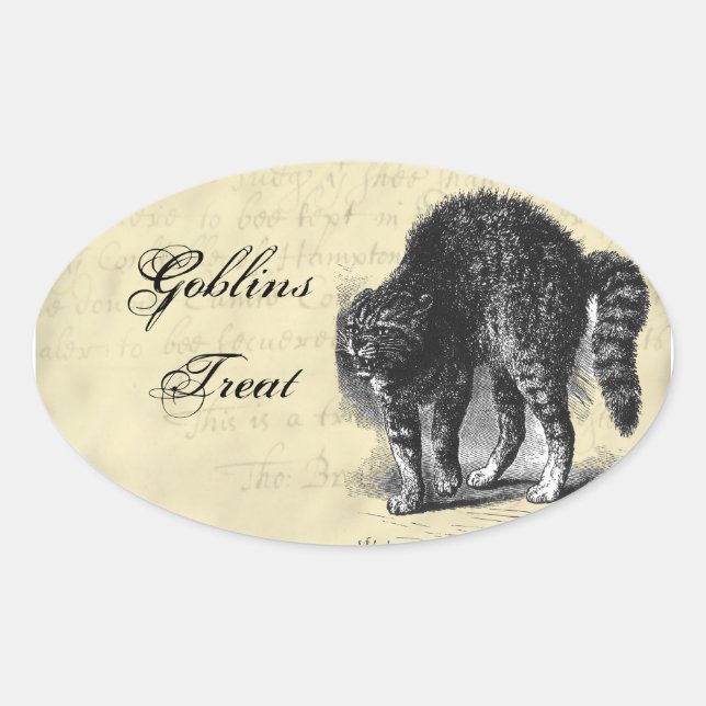 Petrified Cat Halloween Oval Sticker (Front)