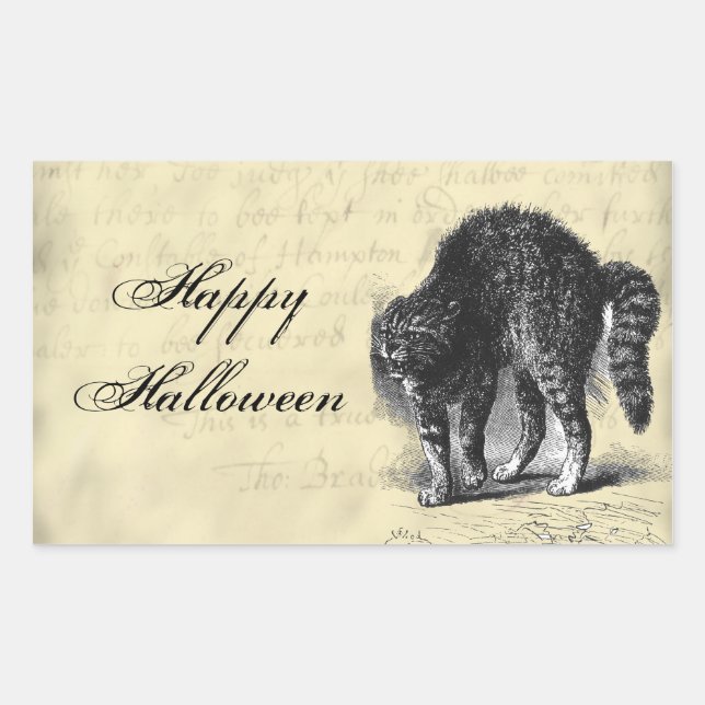 Petrified Cat Halloween Sticker (Front)
