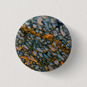 Petrified Dinosaur Bone 1 Inch Round Button