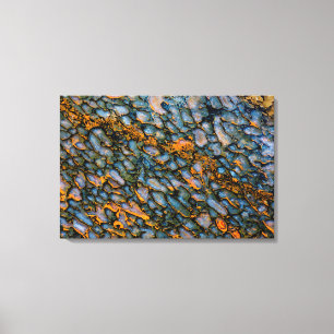 Petrified Dinosaur Bone Canvas Print