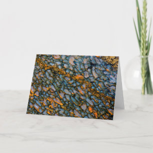 Petrified Dinosaur Bone Card