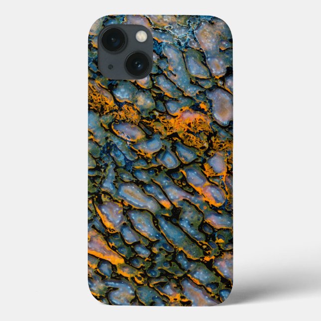 Petrified Dinosaur Bone Case-Mate iPhone Case (Back)