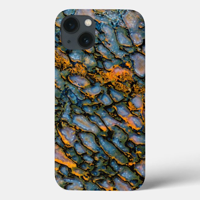Petrified Dinosaur Bone Case-Mate iPhone Case (Back)