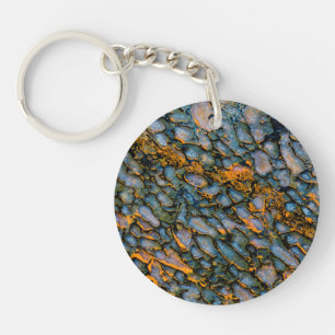 Petrified Dinosaur Bone Keychain