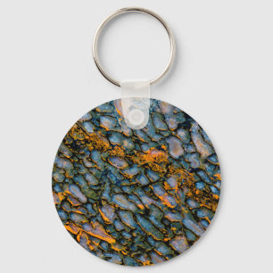 Petrified Dinosaur Bone Keychain