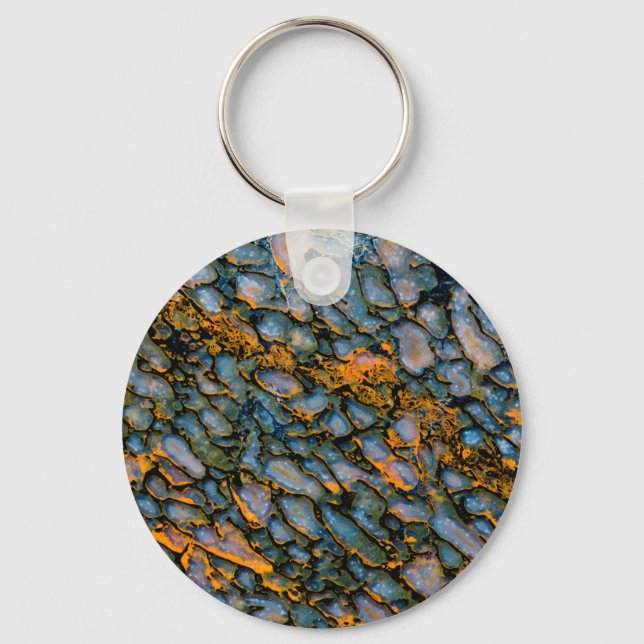 Petrified Dinosaur Bone Keychain (Front)