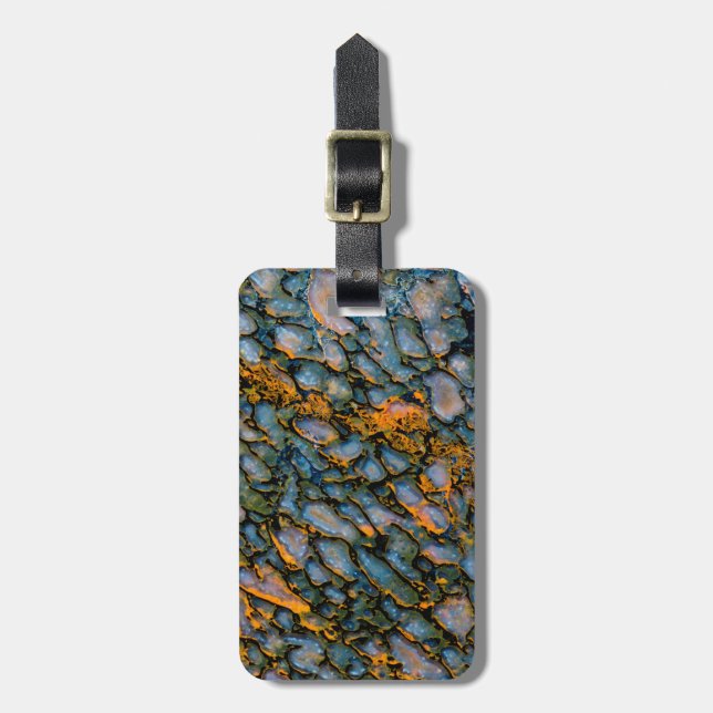 Petrified Dinosaur Bone Luggage Tag (Front Vertical)