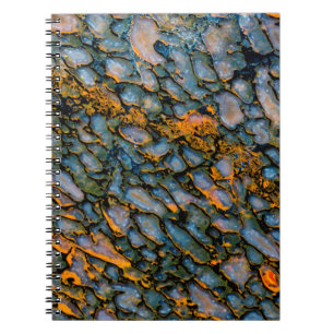 Petrified Dinosaur Bone Notebook