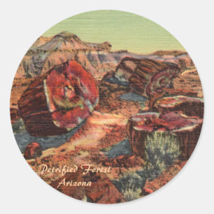Petrified Forest Arizona Classic Round Sticker