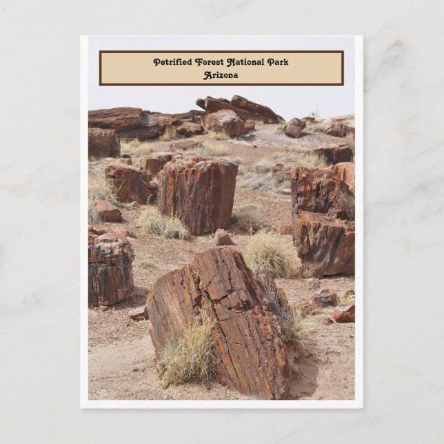 Petrified Forest, AZ, Vertical Postcard (Front)