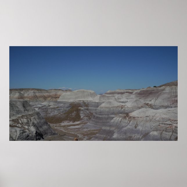 Petrified Forest Badlands Poster (Front)