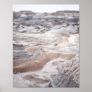Petrified Forest, Desolate Landscape Photo Poster