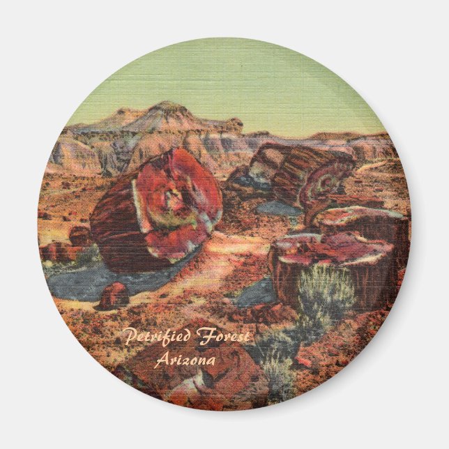 Petrified Forest Magnet (Front)