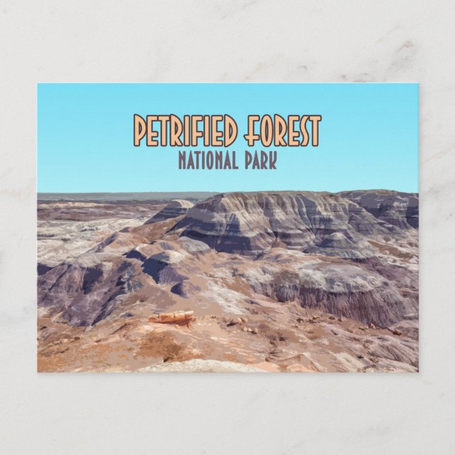 Petrified Forest National Park Arizona Vintage Postcard (Front)