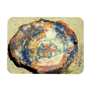 Petrified Forest National Park Magnet