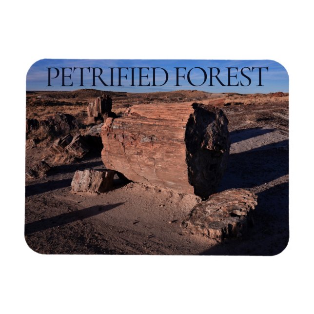 Petrified Forest National Park Magnet (Horizontal)
