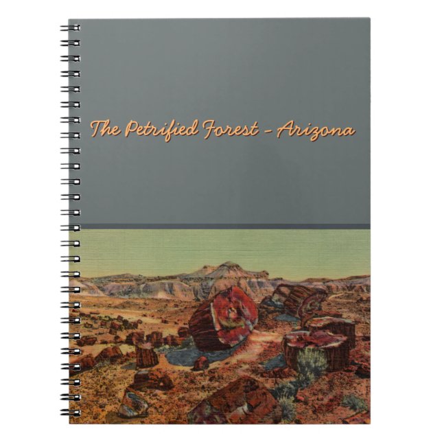 Petrified Forest Notebook (Front)