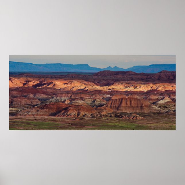 Petrified Forest Vista Poster (Front)