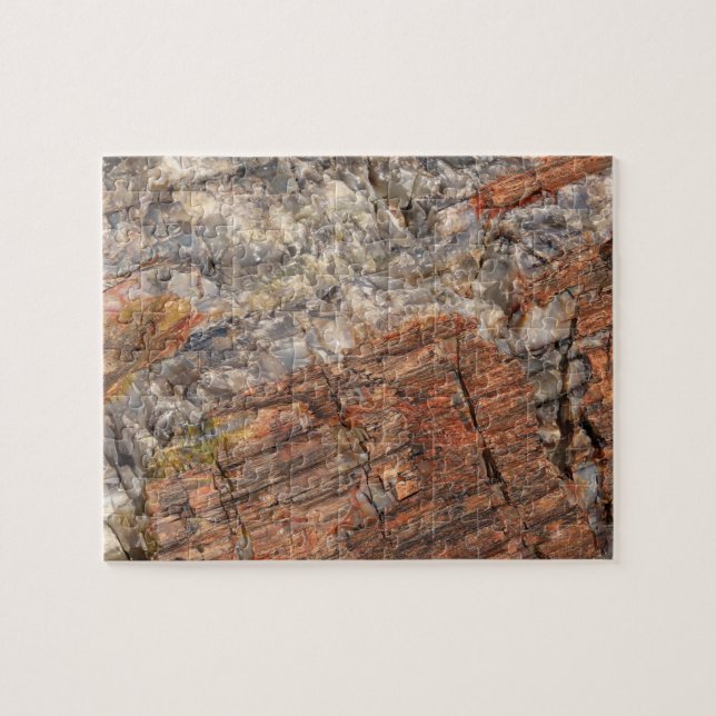 Petrified Log Closeup I Jigsaw Puzzle (Horizontal)