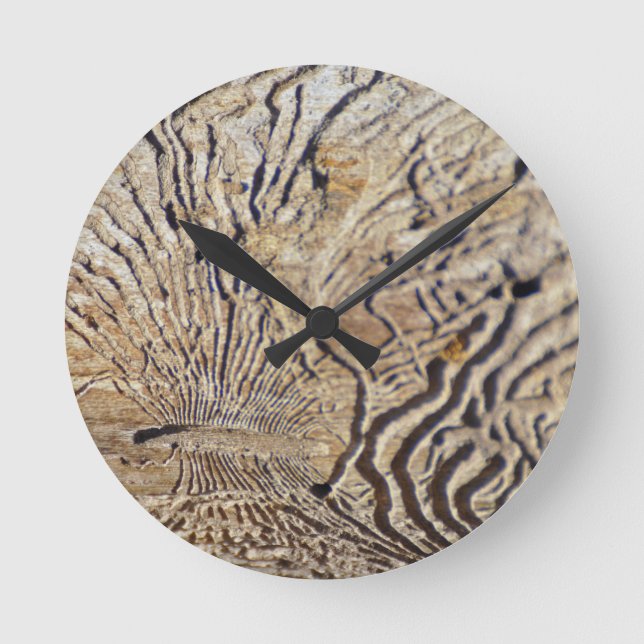 Petrified Round Clock (Front)