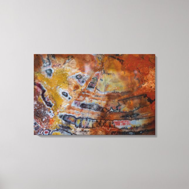 Petrified Wood Brown Canvas Print (Front)