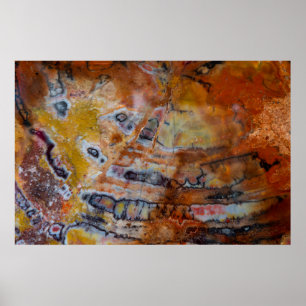 Petrified Wood Brown Poster