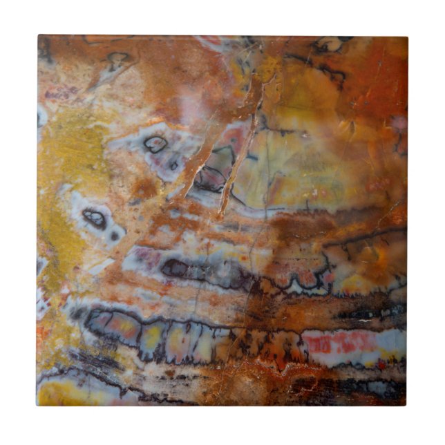 Petrified Wood Brown Tile (Front)