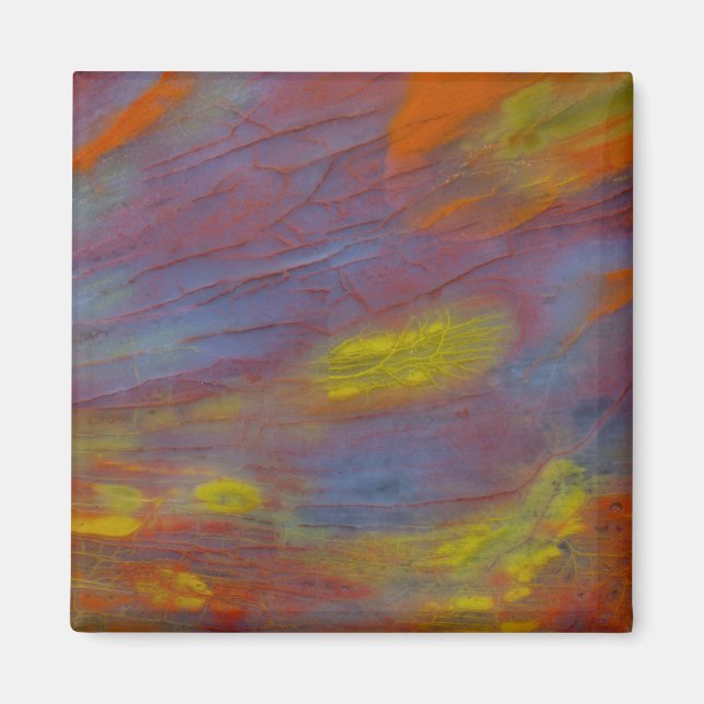 Petrified Wood Close-Up Magnet (Front)