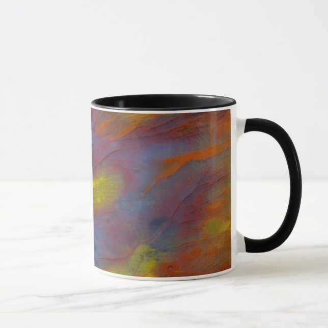 Petrified Wood Close-Up Mug (Right)