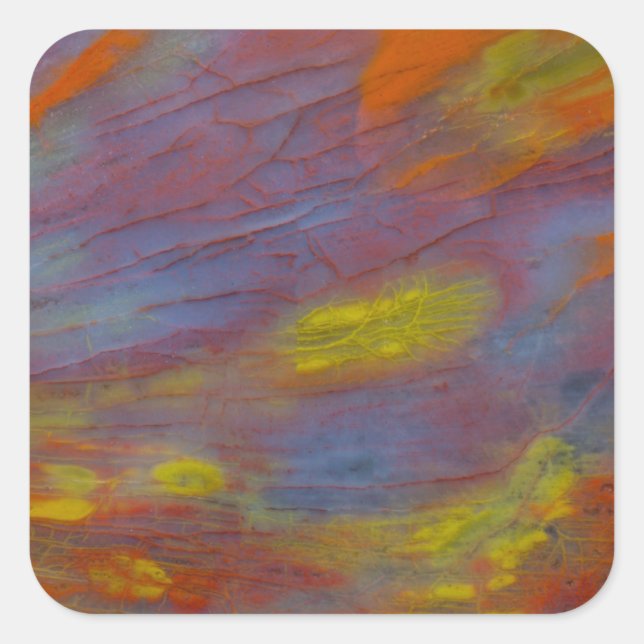 Petrified Wood Close-Up Square Sticker (Front)