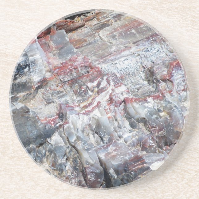 Petrified Wood Coaster (Front)