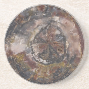 Petrified wood coaster 01