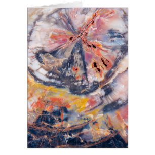 Petrified wood detail, Arizona