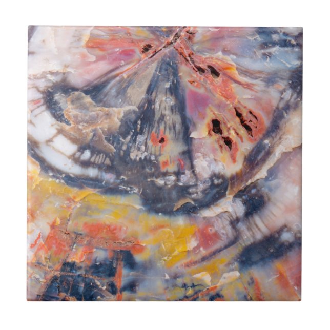 Petrified wood detail, Arizona Tile (Front)