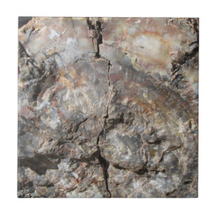 Petrified Wood, Front Tile