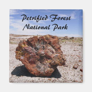 Petrified wood magnet