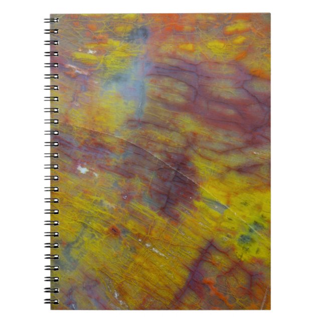 Petrified Wood Notebook (Front)