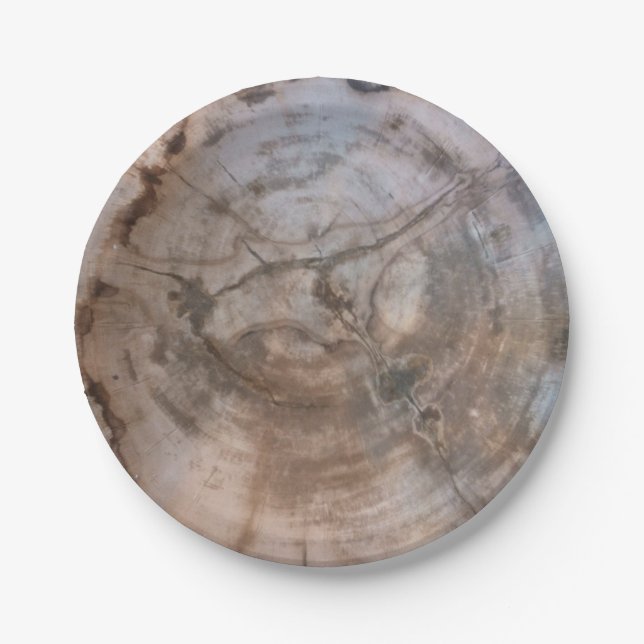 Petrified Wood Plate (Front)