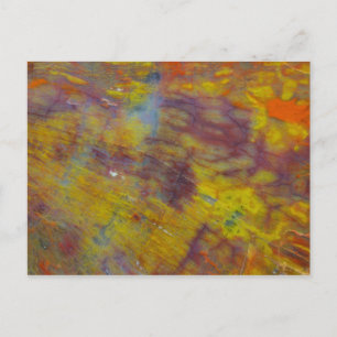 Petrified Wood Postcard