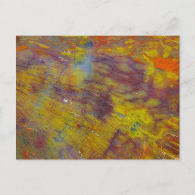 Petrified Wood Postcard (Front)