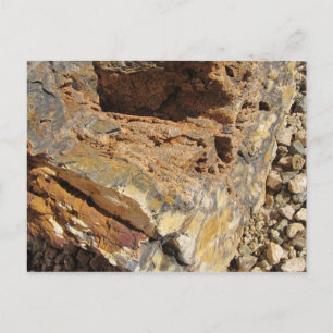 Petrified Wood, Side Postcard