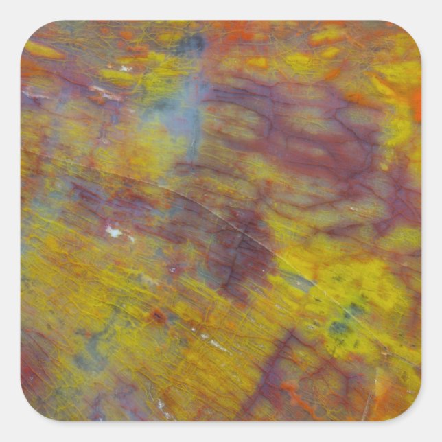 Petrified Wood Square Sticker (Front)
