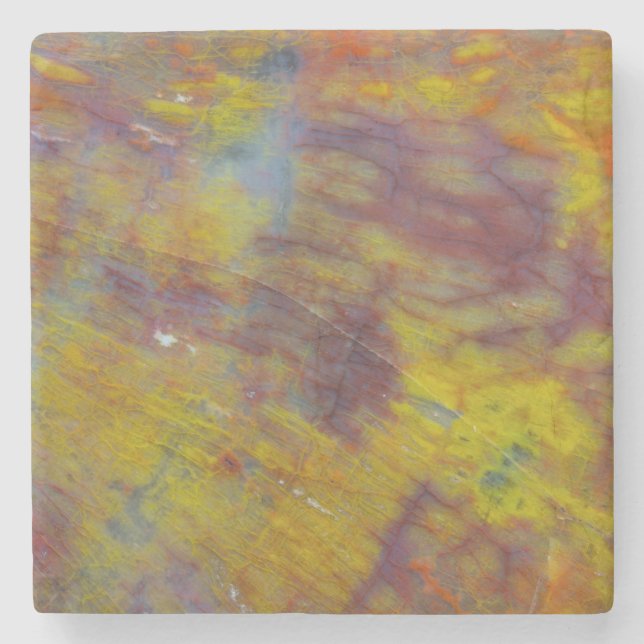 Petrified Wood Stone Coaster (Front)