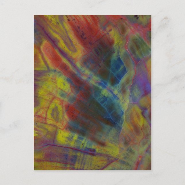 Petrified Wood Vertical Postcard (Front)