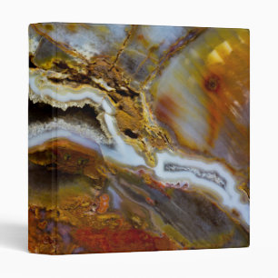 Petrified Wood With Crystals Binder